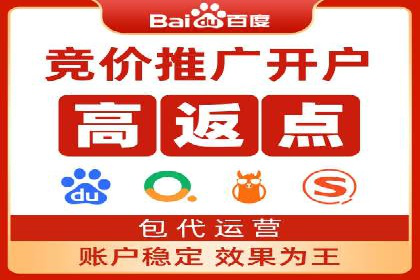 精选案例分享：SEM代运营公司效果展示